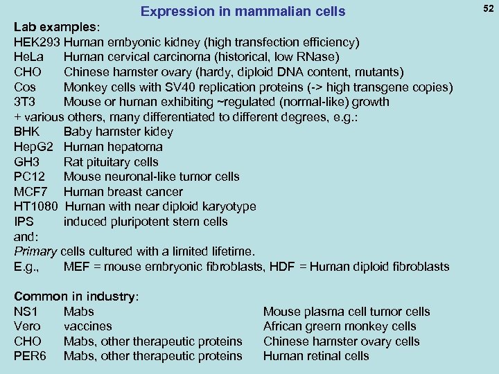 Expression in mammalian cells Lab examples: HEK 293 Human embyonic kidney (high transfection efficiency)