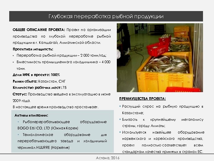 Глубокая переработка рыбной продукции ОБЩЕЕ ОПИСАНИЕ ПРОЕКТА: Проект по организации производства по глубокой переработке