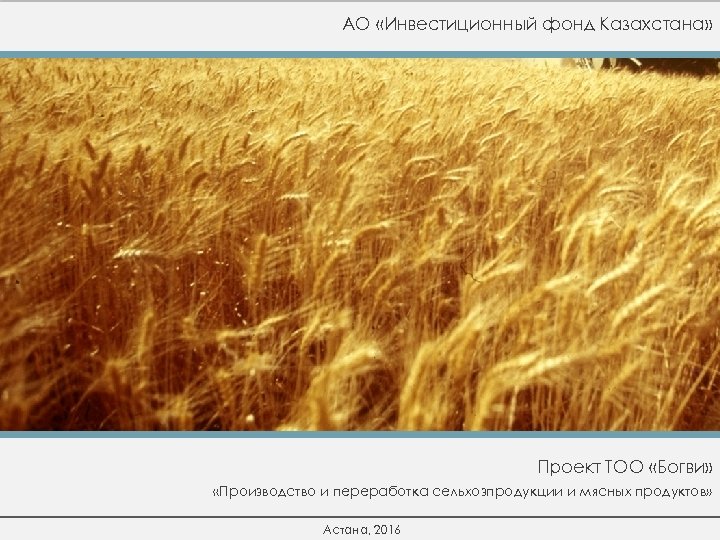 АО «Инвестиционный фонд Казахстана» Проект ТОО «Богви» «Производство и переработка сельхозпродукции и мясных продуктов»