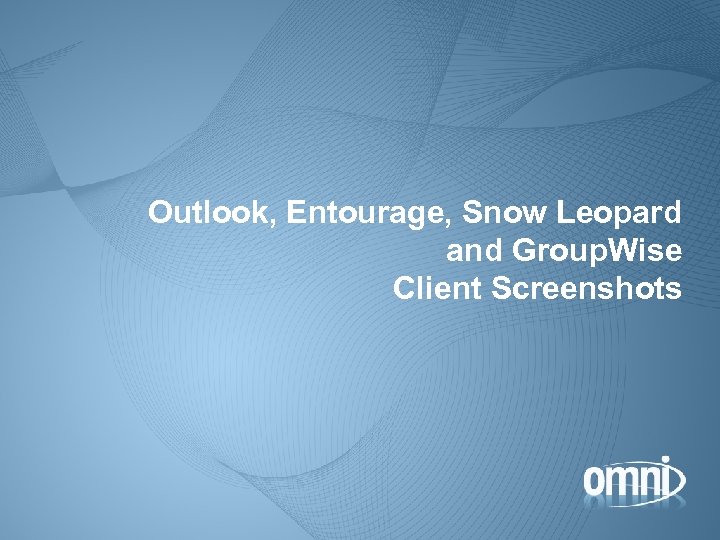 Outlook, Entourage, Snow Leopard and Group. Wise Client Screenshots 