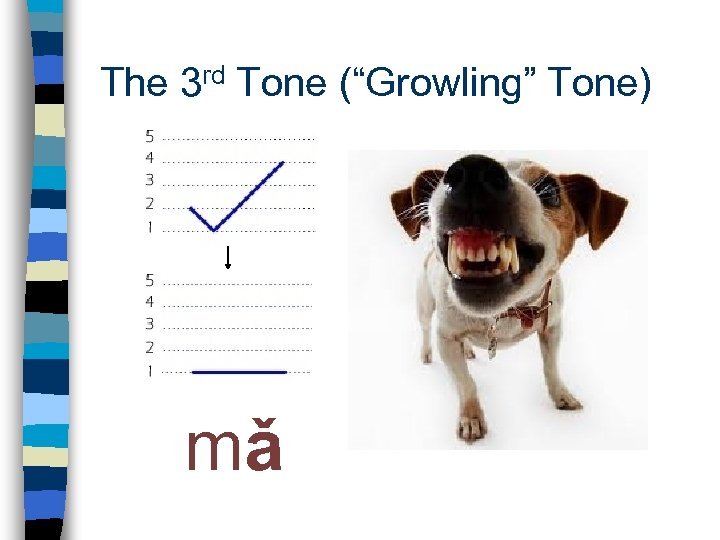 The 3 rd Tone (“Growling” Tone) mǎ 