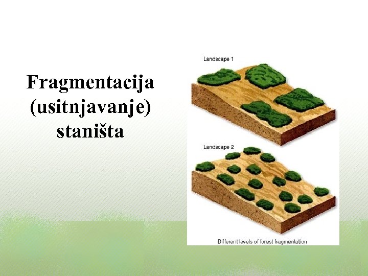 Fragmentacija (usitnjavanje) staništa 