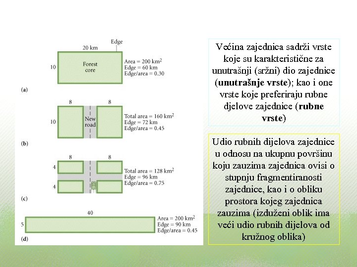 Većina zajednica sadrži vrste koje su karakteristične za unutrašnji (sržni) dio zajednice (unutrašnje vrste);