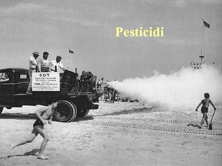 Pesticidi 