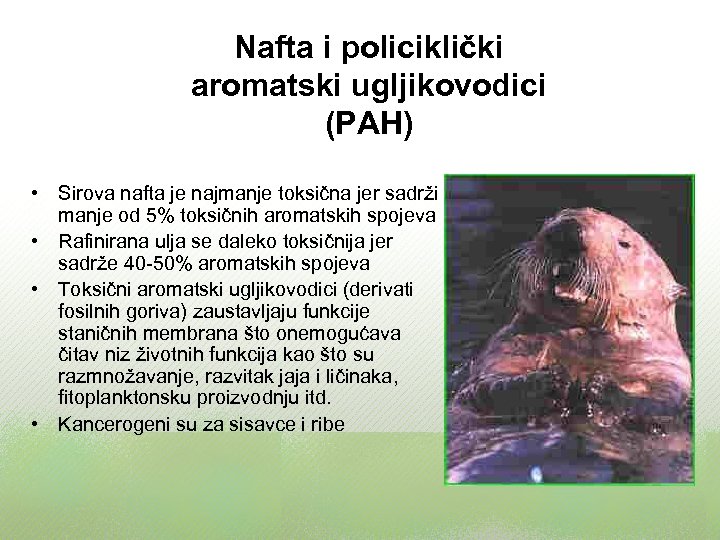 Nafta i policiklički aromatski ugljikovodici (PAH) • Sirova nafta je najmanje toksična jer sadrži