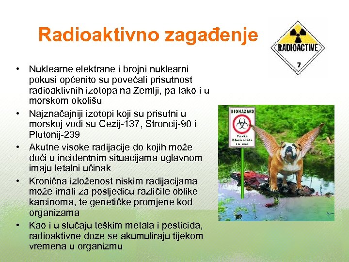 Radioaktivno zagađenje • Nuklearne elektrane i brojni nuklearni pokusi općenito su povećali prisutnost radioaktivnih