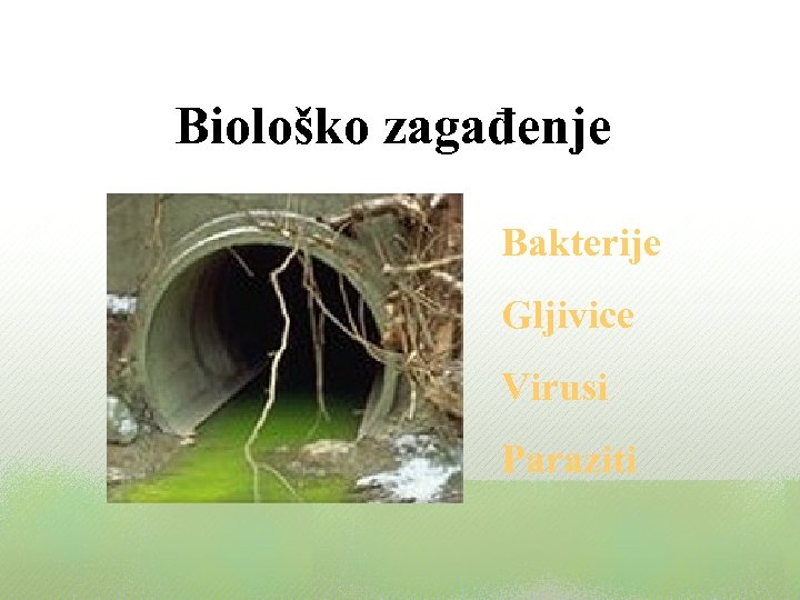 Biološko zagađenje Bakterije Gljivice Virusi Paraziti 