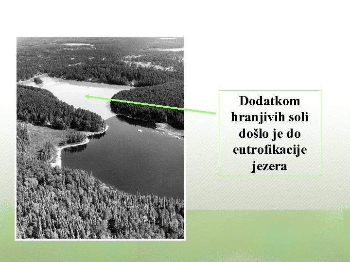 Dodatkom hranjivih soli došlo je do eutrofikacije jezera 