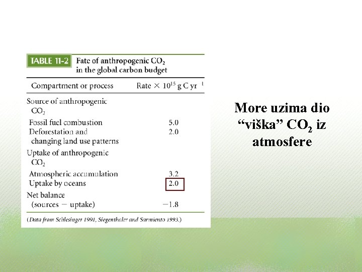 More uzima dio “viška” CO 2 iz atmosfere 