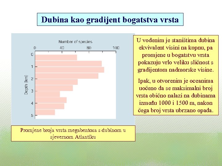 Dubina kao gradijent bogatstva vrsta U vodenim je staništima dubina ekvivalent visini na kopnu,
