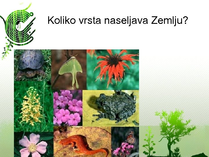Koliko vrsta naseljava Zemlju? 
