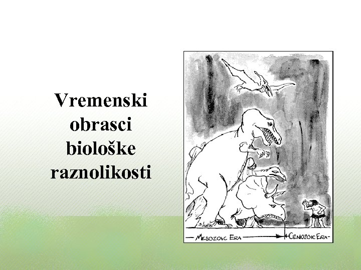 Vremenski obrasci biološke raznolikosti 