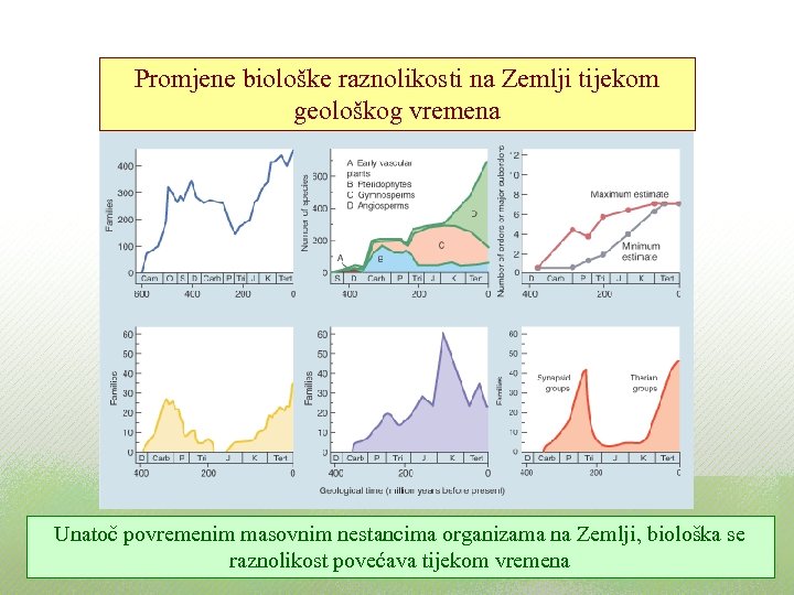 Promjene biološke raznolikosti na Zemlji tijekom geološkog vremena Unatoč povremenim masovnim nestancima organizama na