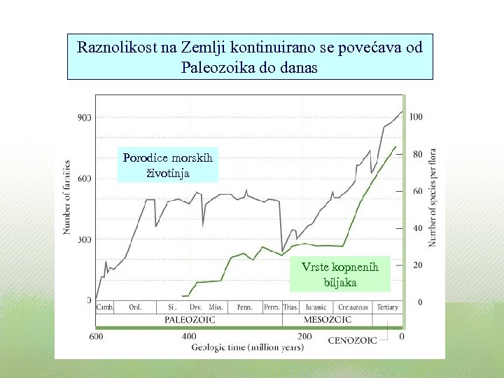 Raznolikost na Zemlji kontinuirano se povećava od Paleozoika do danas Porodice morskih životinja Vrste