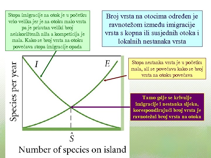 Stopa imigracije na otok je u početku vrlo velika jer je na otoku malo