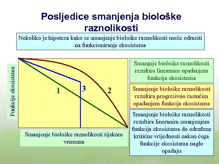 Posljedice smanjenja biološke raznolikosti Funkcije ekosistema Nekoliko je hipoteza kako se smanjenje biološke raznolikosti