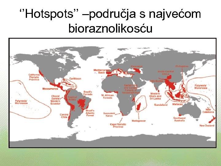 ‘’Hotspots’’ –područja s najvećom bioraznolikosću 