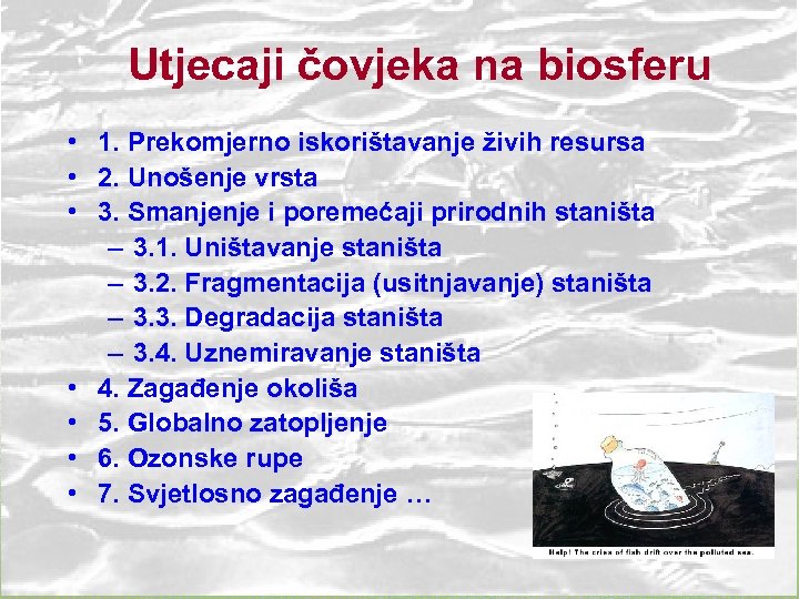 Utjecaji čovjeka na biosferu • 1. Prekomjerno iskorištavanje živih resursa • 2. Unošenje vrsta