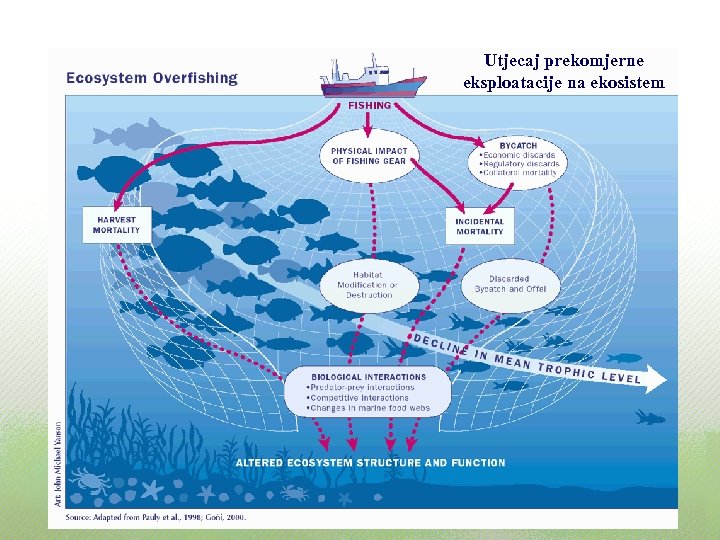 Utjecaj prekomjerne eksploatacije na ekosistem 