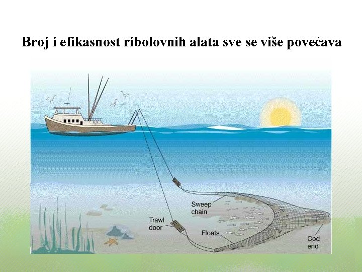 Broj i efikasnost ribolovnih alata sve se više povećava 
