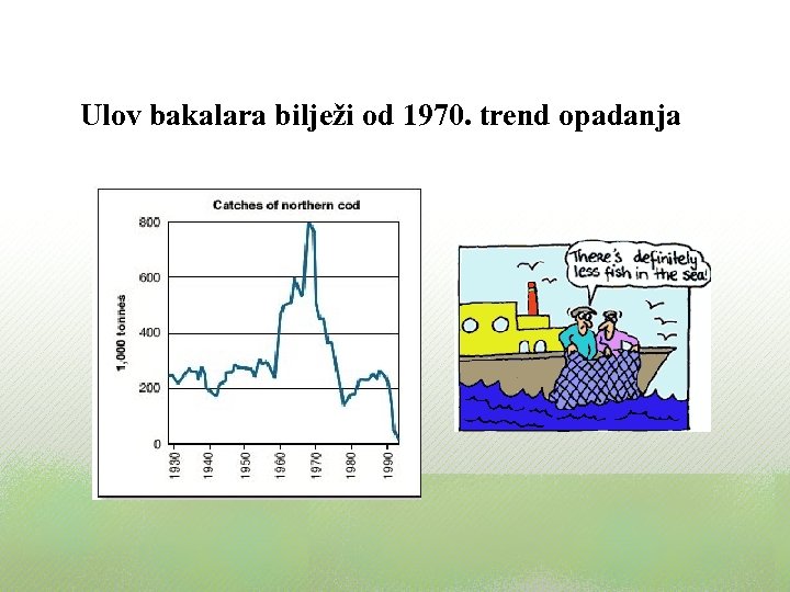 Ulov bakalara bilježi od 1970. trend opadanja 
