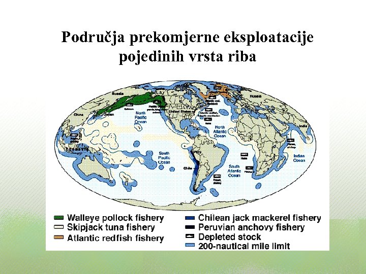 Područja prekomjerne eksploatacije pojedinih vrsta riba 