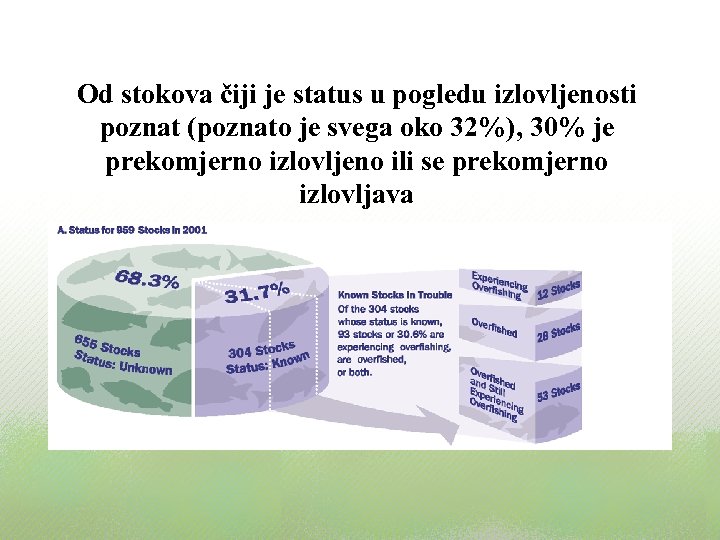 Od stokova čiji je status u pogledu izlovljenosti poznat (poznato je svega oko 32%),