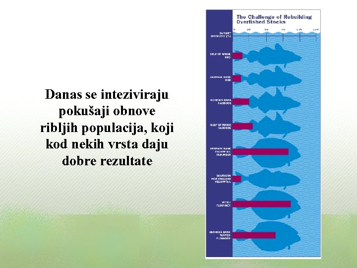 Danas se inteziviraju pokušaji obnove ribljih populacija, koji kod nekih vrsta daju dobre rezultate