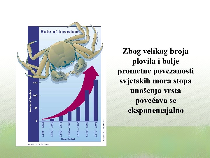 Zbog velikog broja plovila i bolje prometne povezanosti svjetskih mora stopa unošenja vrsta povećava