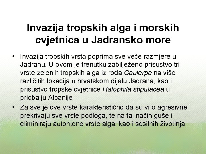Invazija tropskih alga i morskih cvjetnica u Jadransko more • Invazija tropskih vrsta poprima