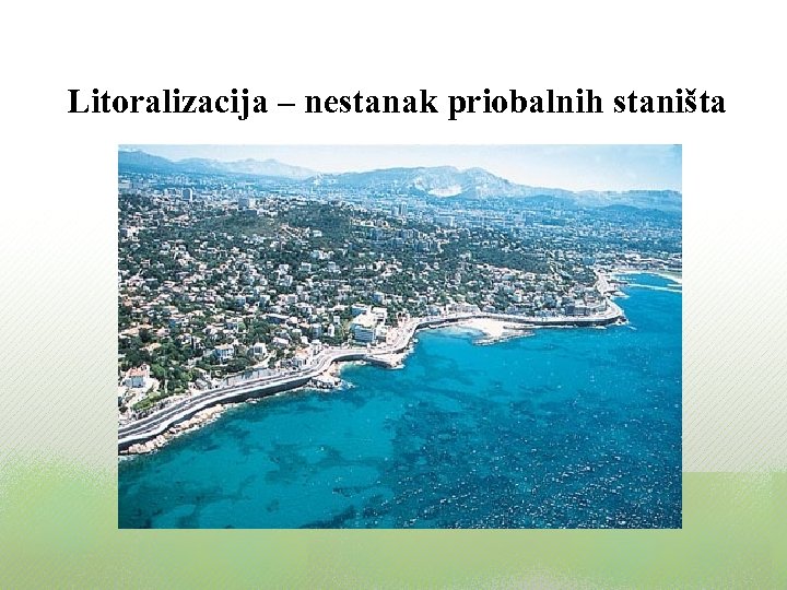 Litoralizacija – nestanak priobalnih staništa 