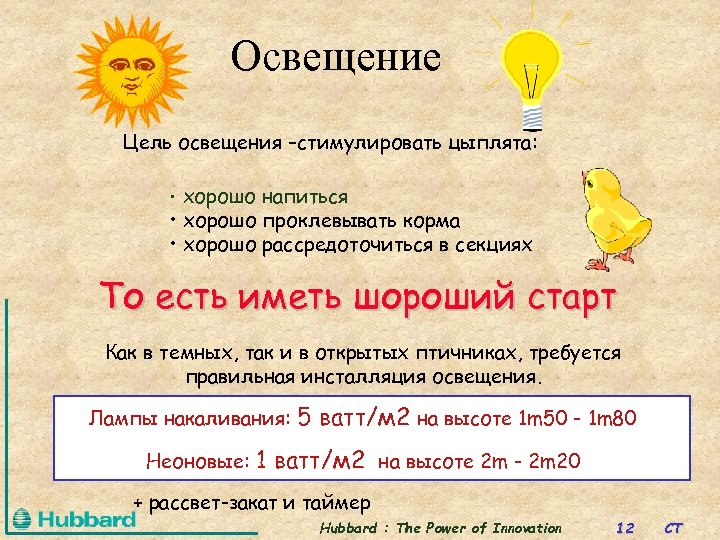 Освещение Цель освещения –стимулировать цыплята: хорошо напиться • хорошо проклевывать корма • хорошо рассредоточиться