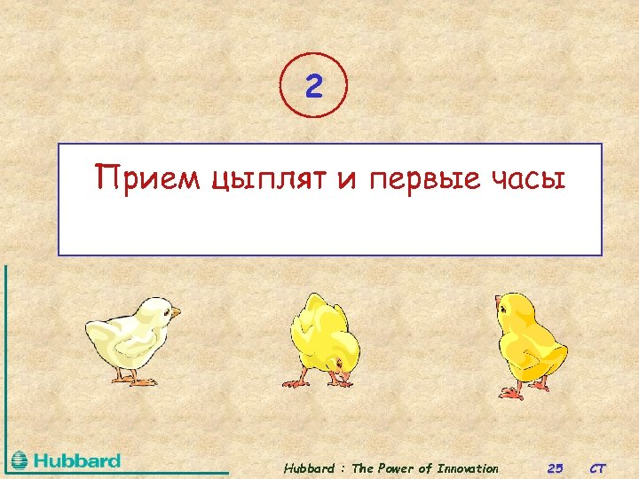 2 Прием цыплят и первые часы Hubbard : The Power of Innovation 25 CT