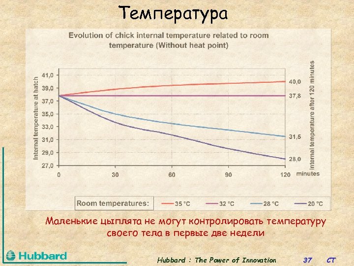 Температура Маленькие цыплята не могут контролировать температуру своего тела в первые две недели Hubbard