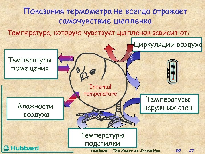 Показания термометра не всегда отражает самочувствие цыпленка Температура, которую чувствует цыпленок зависит от: Циркуляции