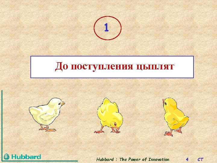 1 До поступления цыплят Hubbard : The Power of Innovation 4 CT 