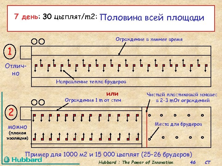 7 день: 30 цыплят/m 2: Половина всей площади Ограждение в зимнее время 1 Отлично