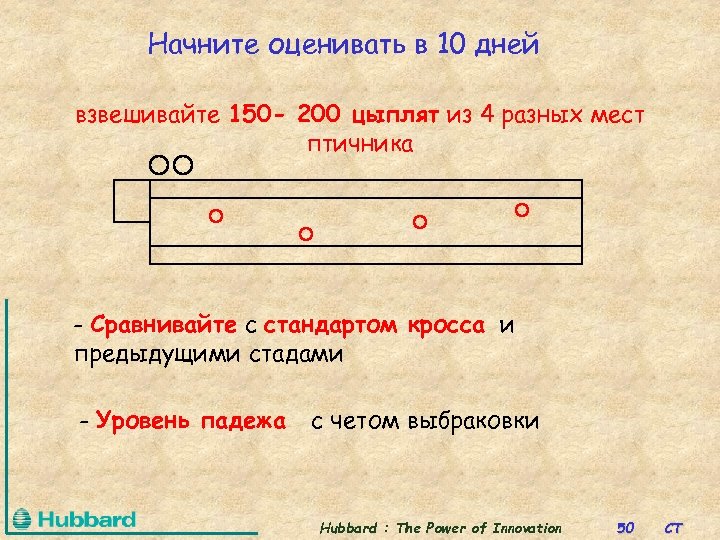 Начните оценивать в 10 дней взвешивайте 150 - 200 цыплят из 4 разных мест
