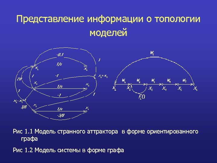 Представление информации о топологии моделей Рис 1. 1 Модель странного аттрактора в форме ориентированного