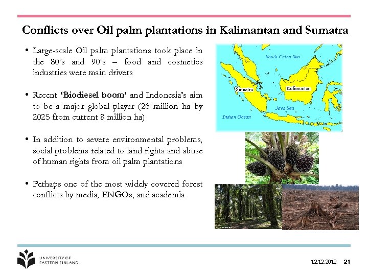 Conflicts over Oil palm plantations in Kalimantan and Sumatra • Large-scale Oil palm plantations