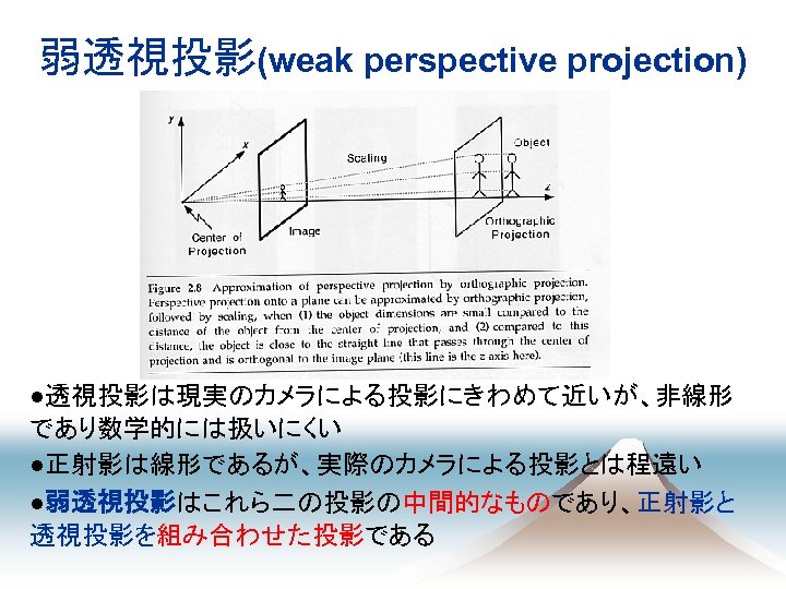 弱透視投影(weak perspective projection) ●透視投影は現実のカメラによる投影にきわめて近いが、非線形 であり数学的には扱いにくい ●正射影は線形であるが、実際のカメラによる投影とは程遠い ●弱透視投影はこれら二の投影の中間的なものであり、正射影と 透視投影を組み合わせた投影である 