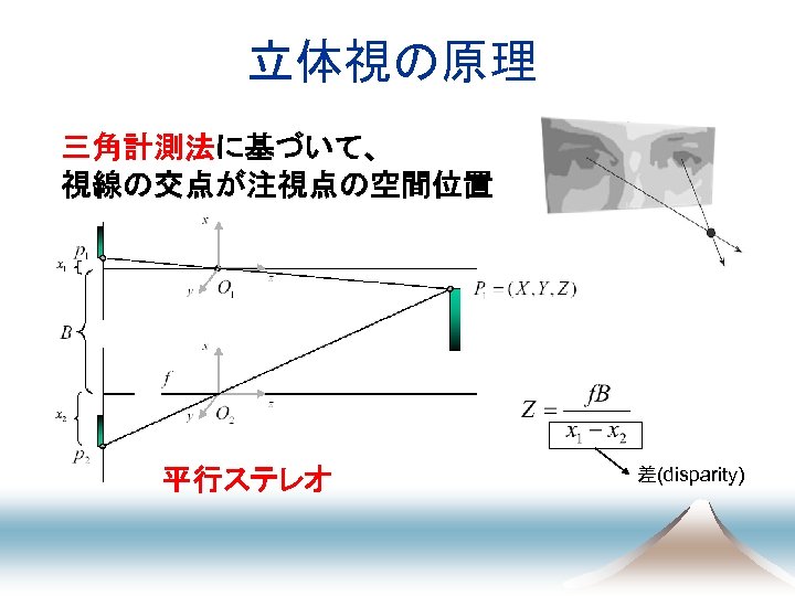 立体視の原理 三角計測法に基づいて、 視線の交点が注視点の空間位置 平行ステレオ 差(disparity) 