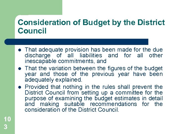 Consideration of Budget by the District Council l 10 3 That adequate provision has