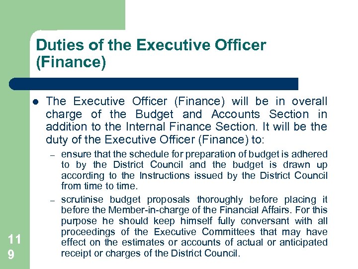 Duties of the Executive Officer (Finance) l The Executive Officer (Finance) will be in