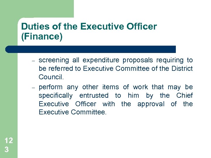 Duties of the Executive Officer (Finance) – – 12 3 screening all expenditure proposals
