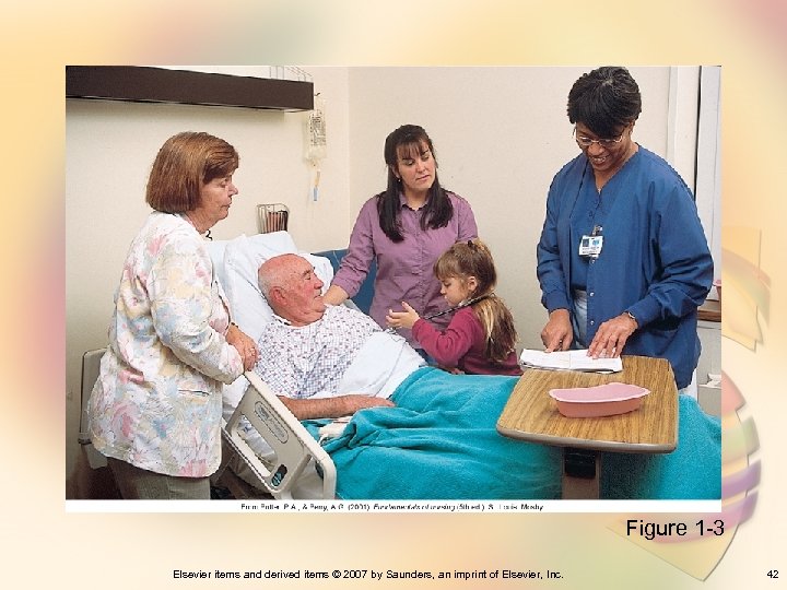 Figure 1 -3 Elsevier items and derived items © 2007 by Saunders, an imprint