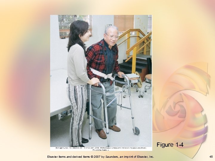 Figure 1 -4 Elsevier items and derived items © 2007 by Saunders, an imprint