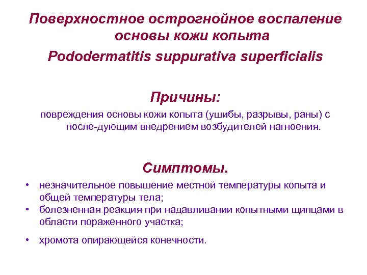 Поверхностное острогнойное воспаление основы кожи копыта Pododermatitis suppurativa superficialis Причины: повреждения основы кожи копыта