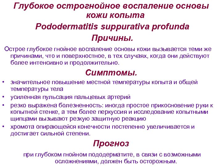 Глубокое острогнойное воспаление основы кожи копыта Pododermatitis suppurativa profunda Причины. Острое глубокое гнойное воспаление