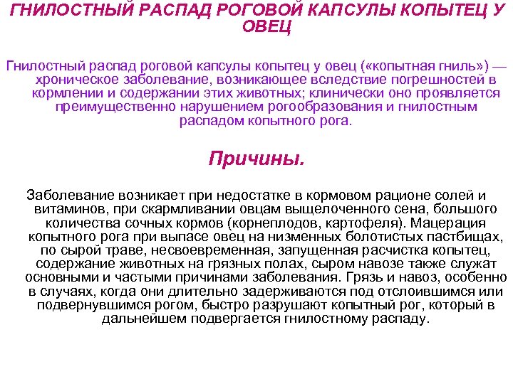 ГНИЛОСТНЫЙ РАСПАД РОГОВОЙ КАПСУЛЫ КОПЫТЕЦ У ОВЕЦ Гнилостный распад роговой капсулы копытец у овец